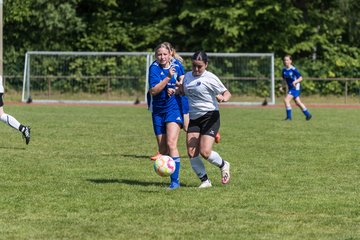 Bild 275 - wBJ VfL Pinneberg - Harksheide : Ergebnis: 2:1